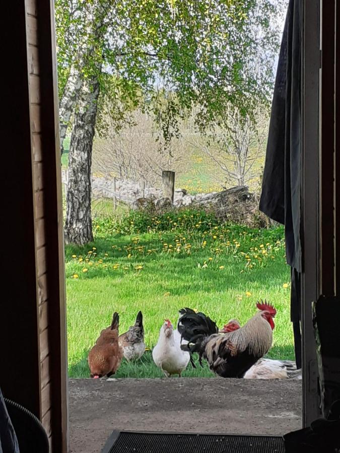 Apartmán Knutstorp Ranch Tyringe Exteriér fotografie